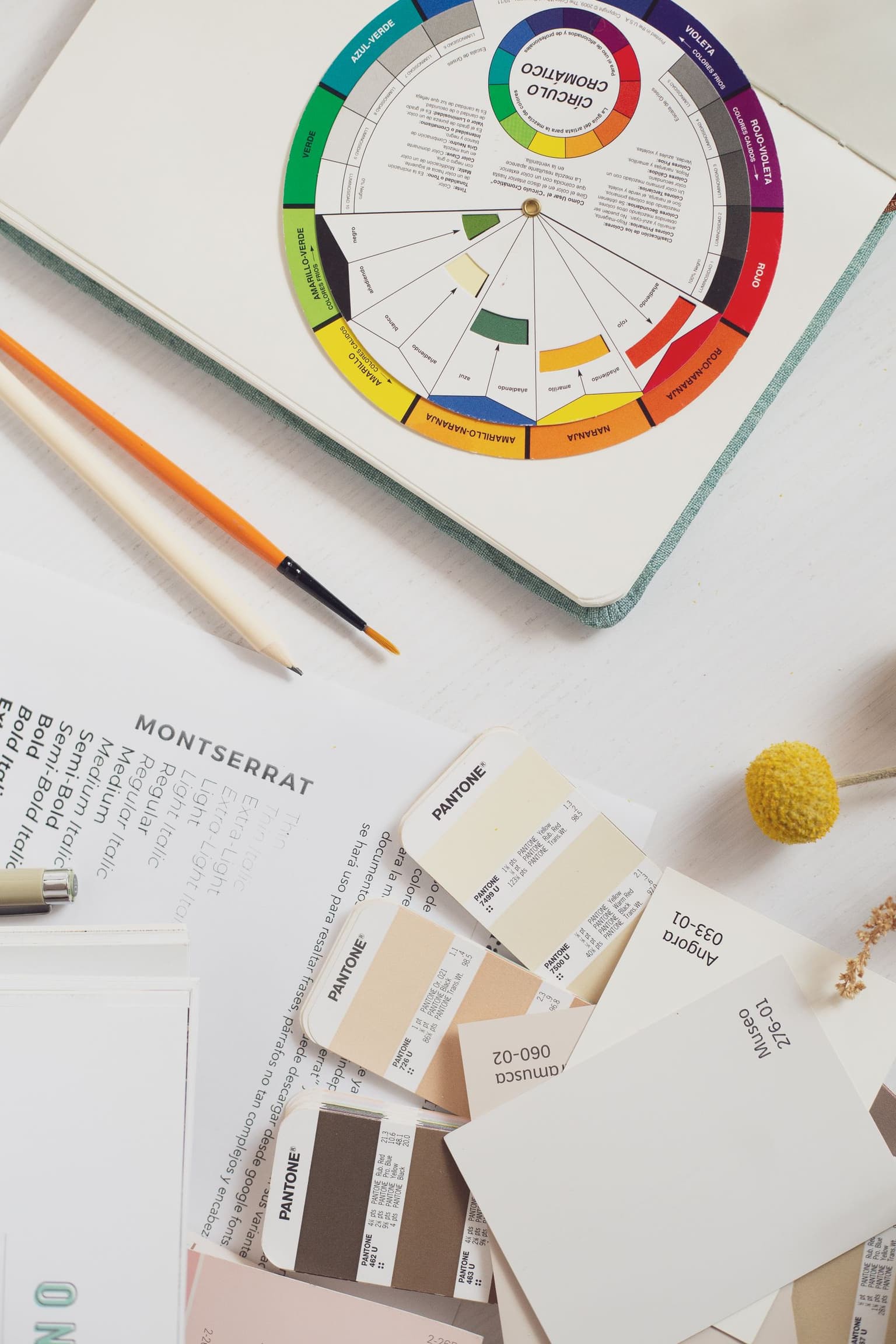 Palette colori e strumenti per la progettazione di un'identità visiva