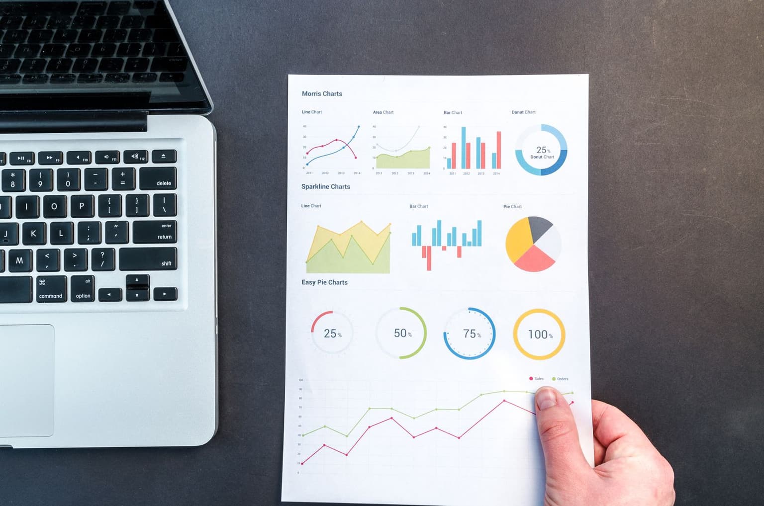 Report con grafici e dati per analisi SEO